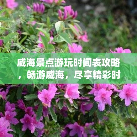 威海景点游玩时间表攻略,畅游威海,尽享精彩时刻!