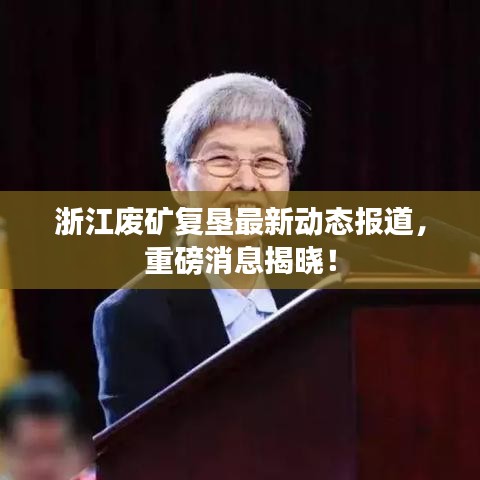 浙江废矿复垦最新动态报道，重磅消息揭晓！