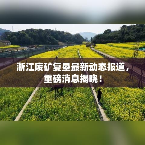 浙江废矿复垦最新动态报道,重磅消息揭晓!