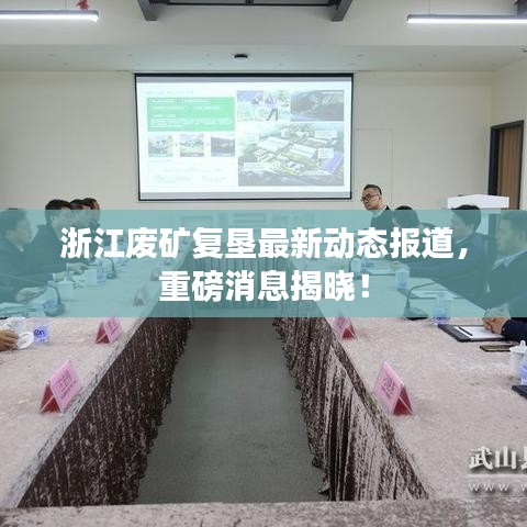 浙江废矿复垦最新动态报道,重磅消息揭晓!
