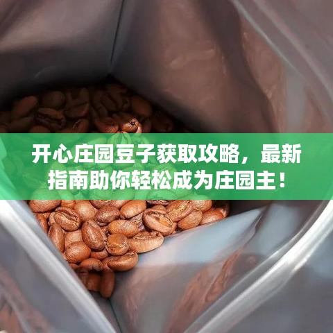 开心庄园豆子获取攻略，最新指南助你轻松成为庄园主！