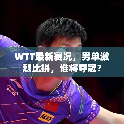 WTT最新赛况，男单激烈比拼，谁将夺冠？