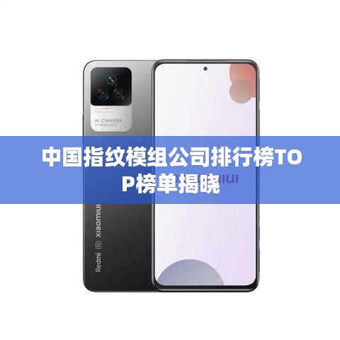 中国指纹模组公司排行榜TOP榜单揭晓
