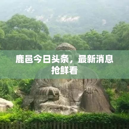 翰飞戾天 第4页