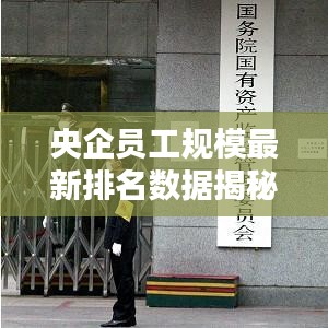 央企员工规模最新排名数据揭秘,中国大型企业员工人数一览