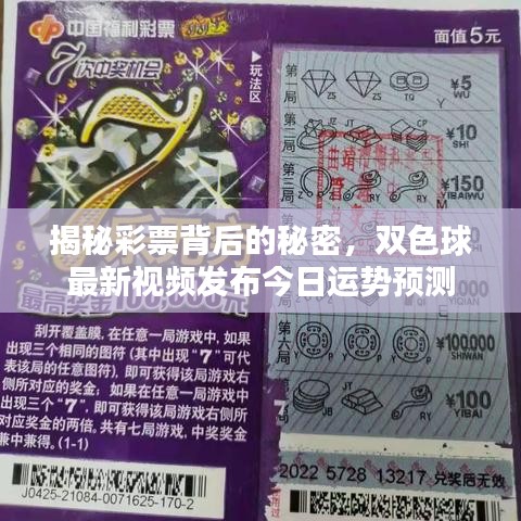 揭秘彩票背后的秘密,双色球最新视频发布今日运势预测