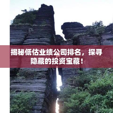 揭秘低估业绩公司排名,探寻隐藏的投资宝藏!