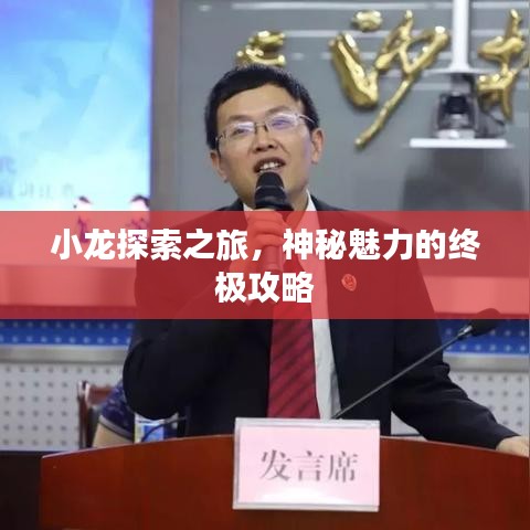 小龙探索之旅，神秘魅力的终极攻略