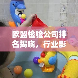 欧盟检验公司排名揭晓，行业影响力不容小觑！