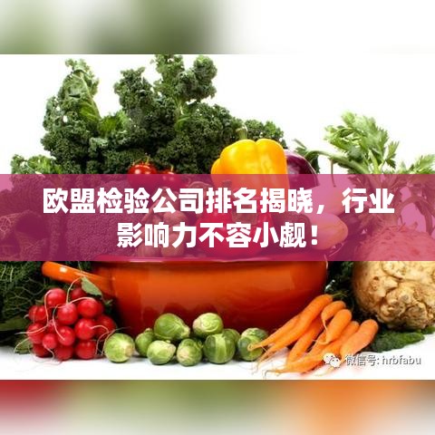 欧盟检验公司排名揭晓,行业影响力不容小觑!