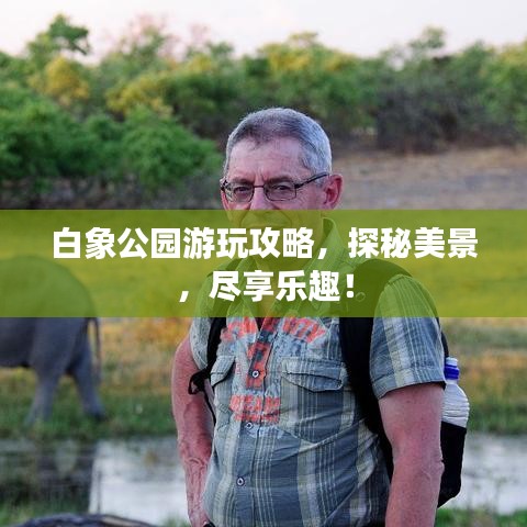白象公园游玩攻略，探秘美景，尽享乐趣！
