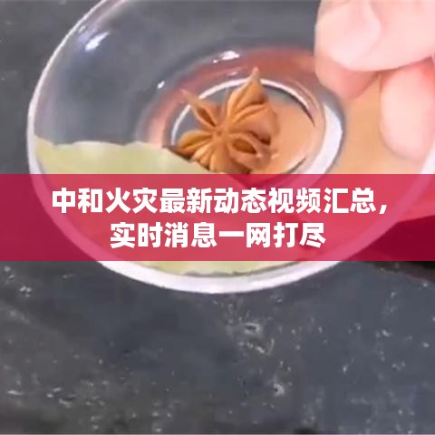 中和火灾最新动态视频汇总,实时消息一网打尽