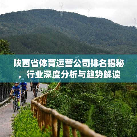 陕西省体育运营公司排名揭秘，行业深度分析与趋势解读