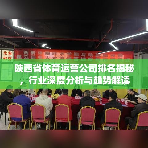 陕西省体育运营公司排名揭秘,行业深度分析与趋势解读