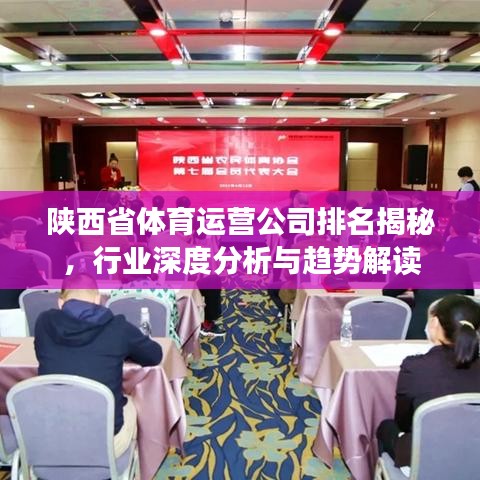 陕西省体育运营公司排名揭秘,行业深度分析与趋势解读