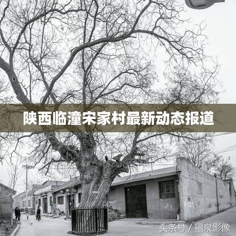 陕西临潼宋家村最新动态报道