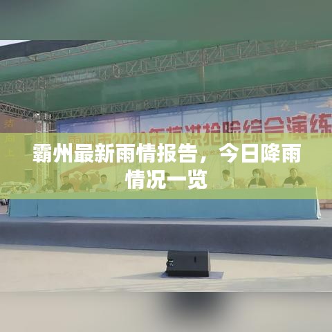 霸州最新雨情报告，今日降雨情况一览