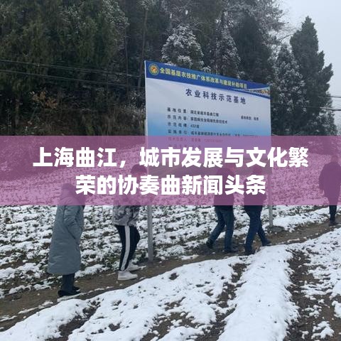 上海曲江,城市发展与文化繁荣的协奏曲新闻头条