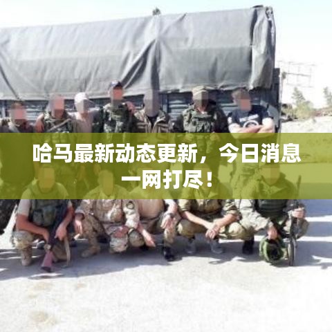 哈马最新动态更新，今日消息一网打尽！