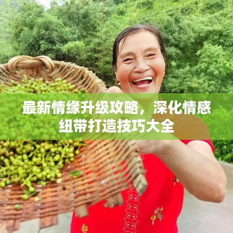 最新情缘升级攻略，深化情感纽带打造技巧大全
