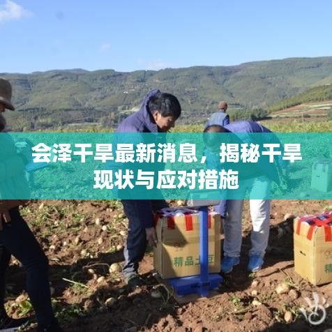 会泽干旱最新消息，揭秘干旱现状与应对措施