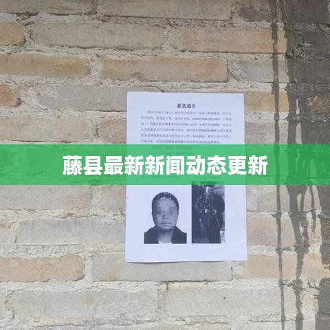 藤县最新新闻动态更新