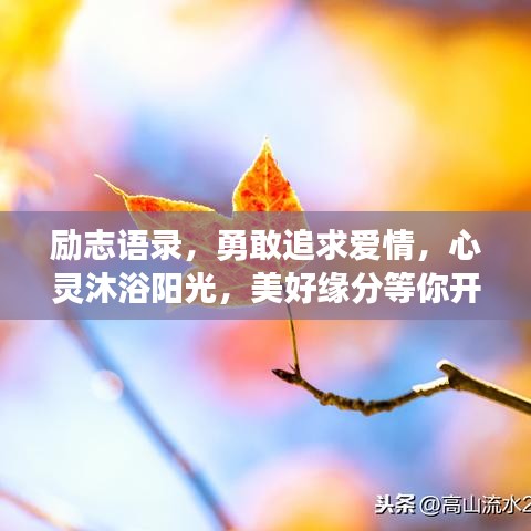 励志语录，勇敢追求爱情，心灵沐浴阳光，美好缘分等你开启！