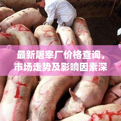最新屠宰厂价格查询,市场走势及影响因素深度解析