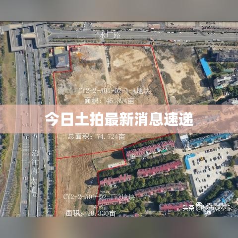 以卵就石 第3页