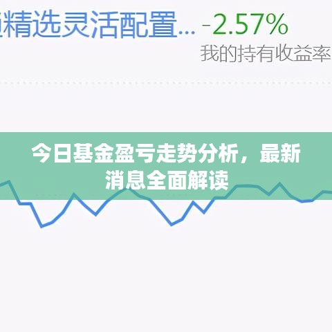 今日基金盈亏走势分析，最新消息全面解读