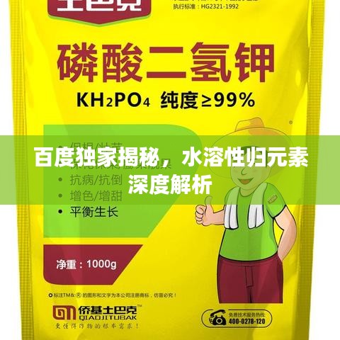 百度独家揭秘,水溶性归元素深度解析