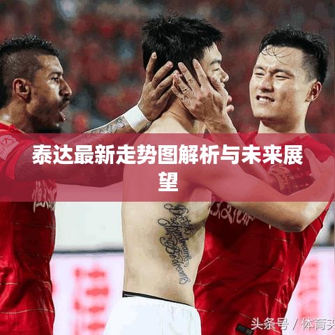 泰达最新走势图解析与未来展望