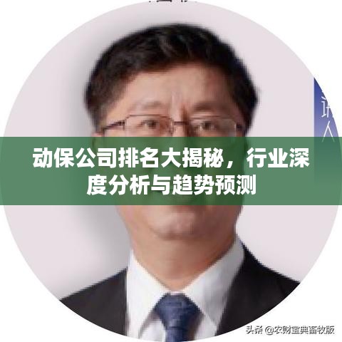 动保公司排名大揭秘，行业深度分析与趋势预测