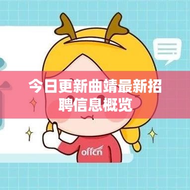 今日更新曲靖最新招聘信息概览