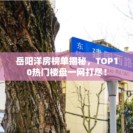 岳阳洋房榜单揭秘,TOP10热门楼盘一网打尽!