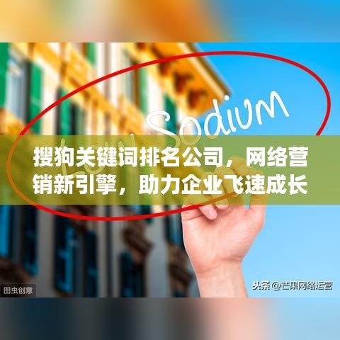 搜狗关键词排名公司,网络营销新引擎,助力企业飞速成长