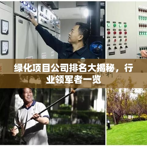 绿化项目公司排名大揭秘,行业领军者一览