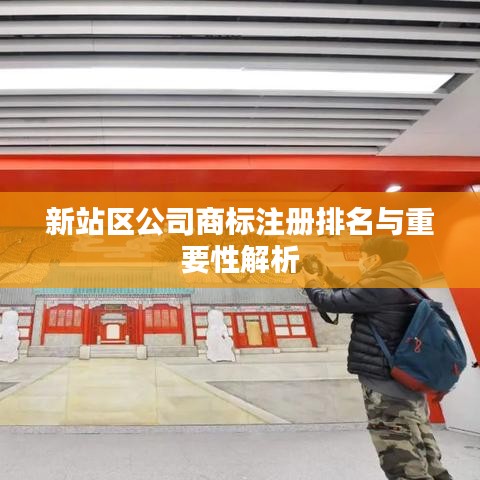 新站区公司商标注册排名与重要性解析