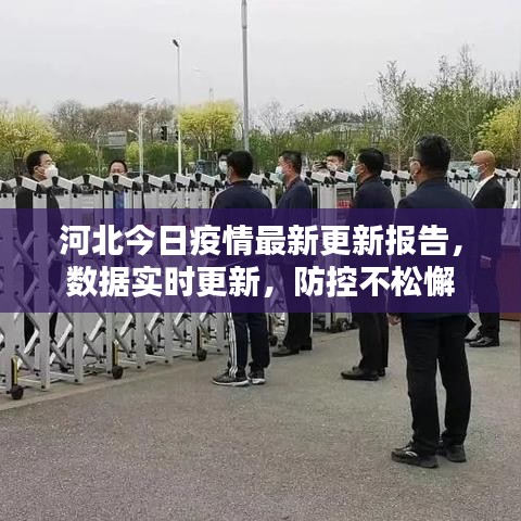 河北今日疫情最新更新报告,数据实时更新,防控不松懈