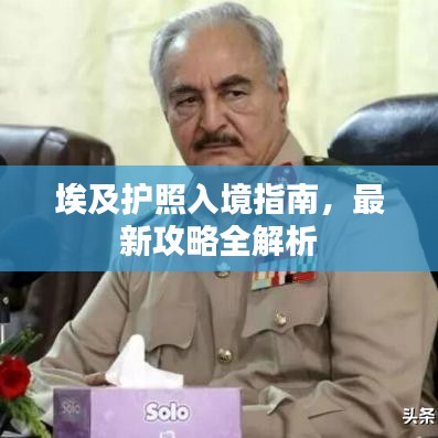 埃及护照入境指南，最新攻略全解析