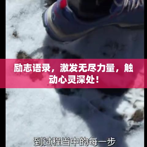 励志语录,激发无尽力量,触动心灵深处!