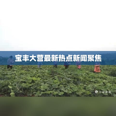 宝丰大营最新热点新闻聚焦