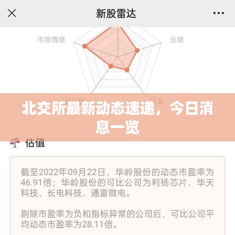 北交所最新动态速递，今日消息一览