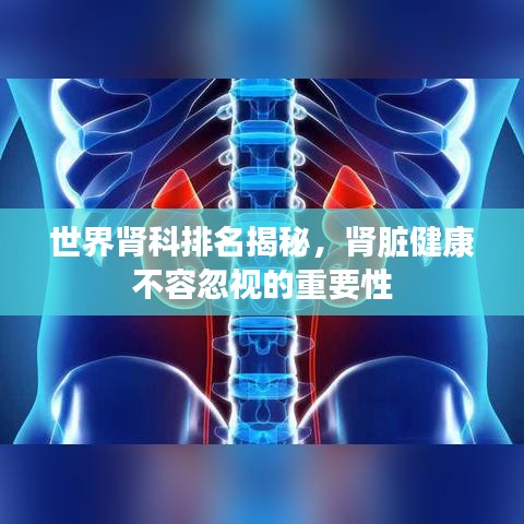 世界肾科排名揭秘,肾脏健康不容忽视的重要性