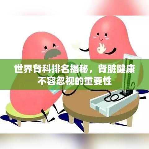 世界肾科排名揭秘，肾脏健康不容忽视的重要性