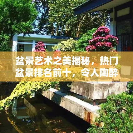 盆景艺术之美揭秘,热门盆景排名前十,令人陶醉的盆景世界