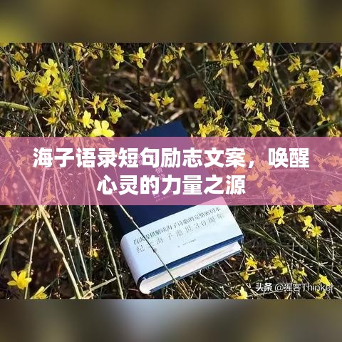 海子语录短句励志文案，唤醒心灵的力量之源