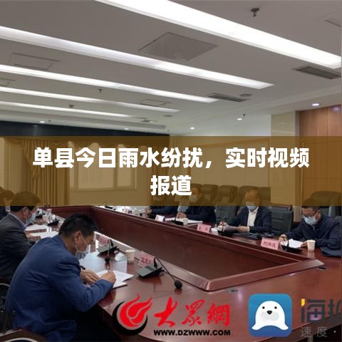 单县今日雨水纷扰,实时视频报道
