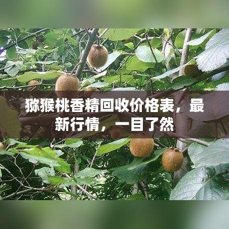 猕猴桃香精回收价格表，最新行情，一目了然