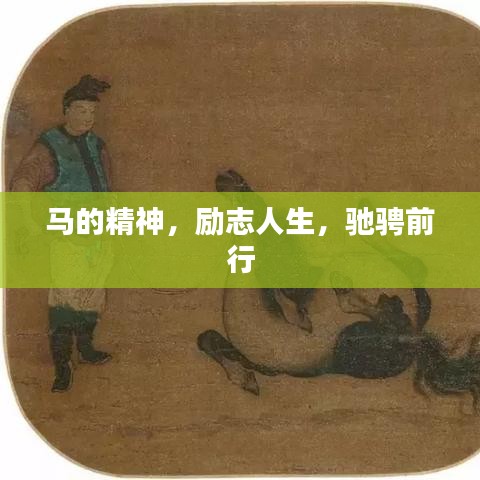 马的精神，励志人生，驰骋前行